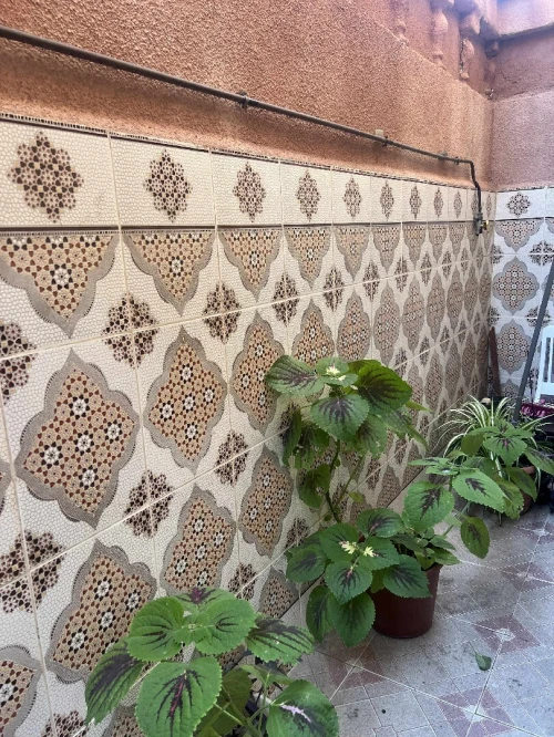 Location vacances Appartement Niveau de villa F2 Alger Alger centre