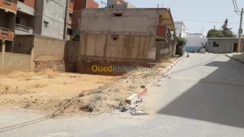 Vente Terrain Tipaza Douaouda