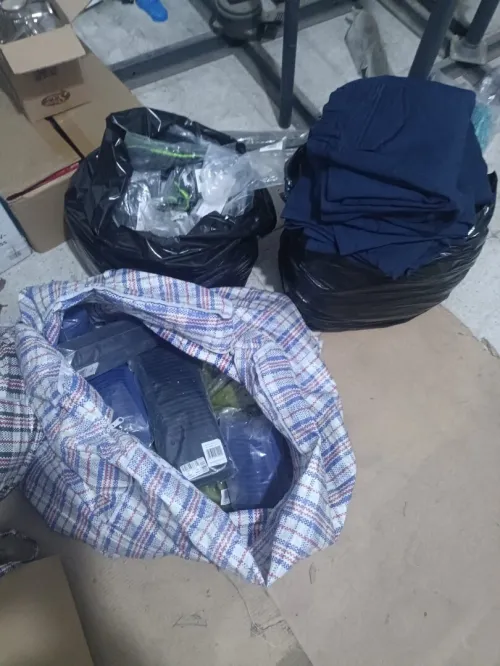 lot de vêtements homme femme enfants européen 