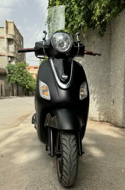 sym fiddle 3 2025