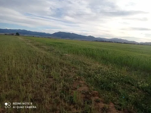 Vente Terrain Agricole Batna Lazrou