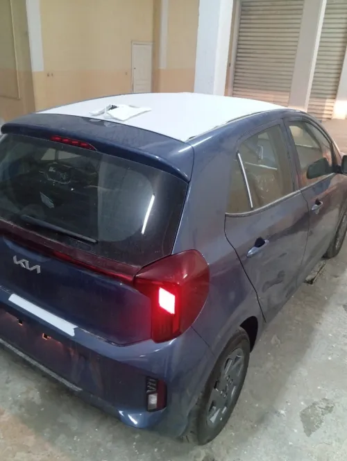 Kia Picanto 2025 Picanto