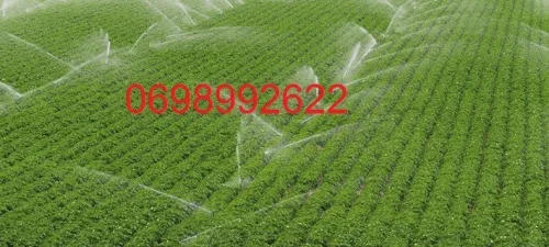 ثلاثة كيت رش من صنف خمسون سيكونت
