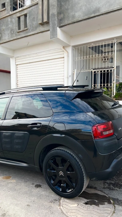 Citroen C4 Cactus 2016 C4 Cactus