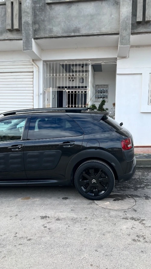 Citroen C4 Cactus 2016 C4 Cactus