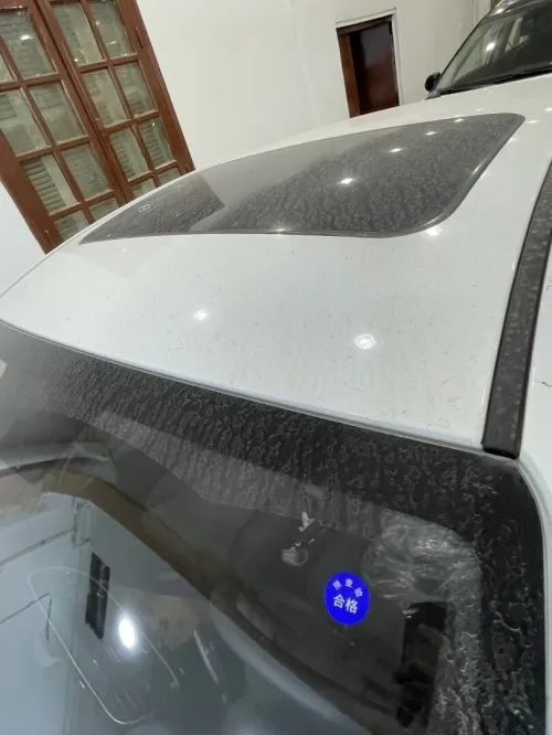 Kia Pegas 2025 