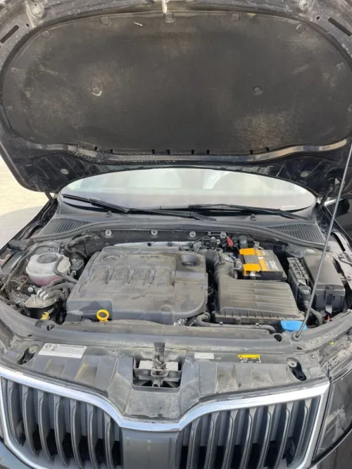 Skoda Octavia 2018 Business