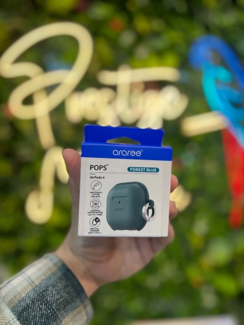 COQUE ARAREE POUR AIRPODS 4