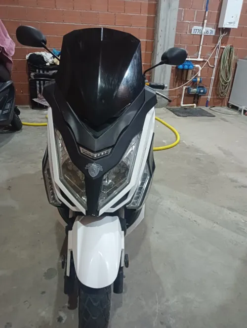 Alexone Alexone 2019