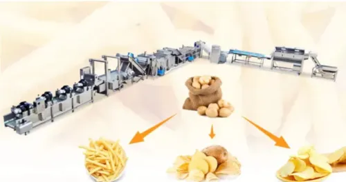 Ligne de production de frite surgelé & chips de pomme de terre