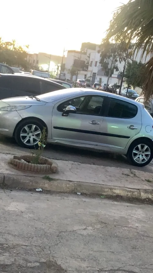 Peugeot 207 2007 