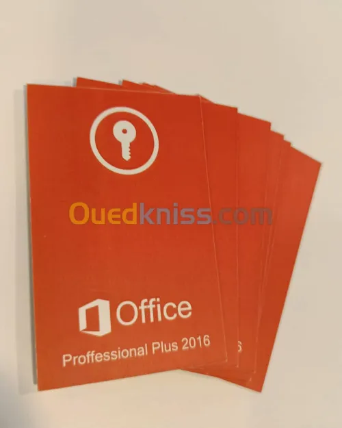 LICENCE OFFICE 2013 PROFESSIONEL CARTE