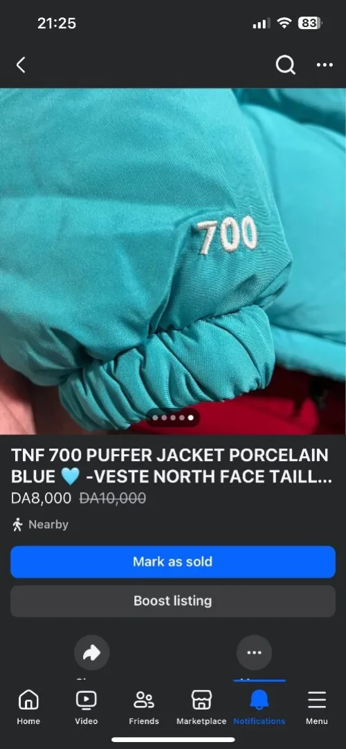 Veste North Face 