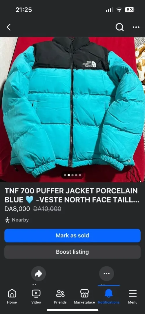 Veste North Face 