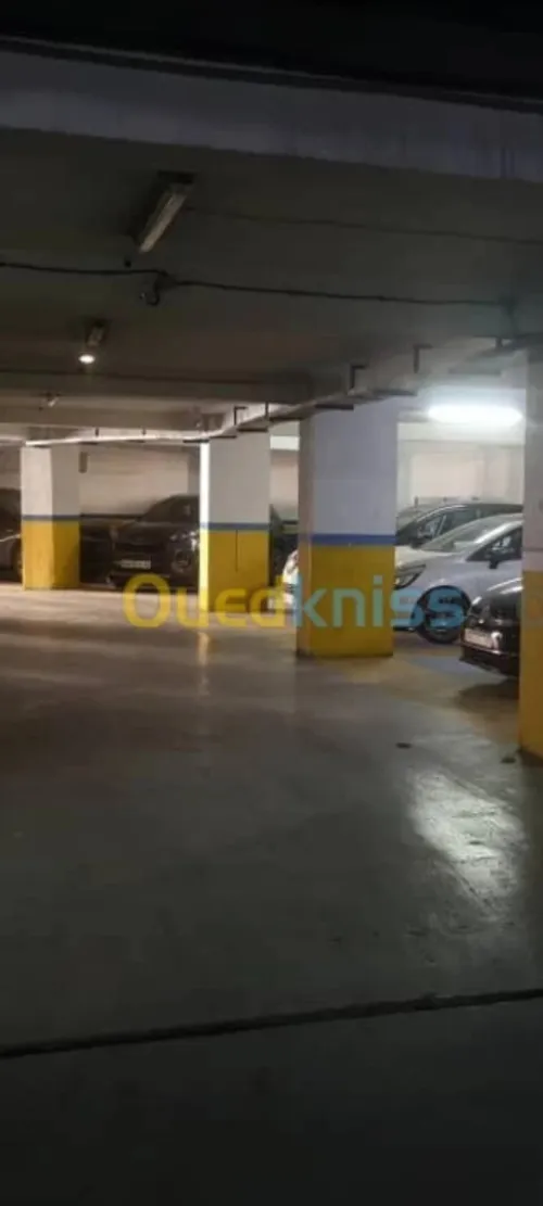 Vente Appartement Alger Said hamdine