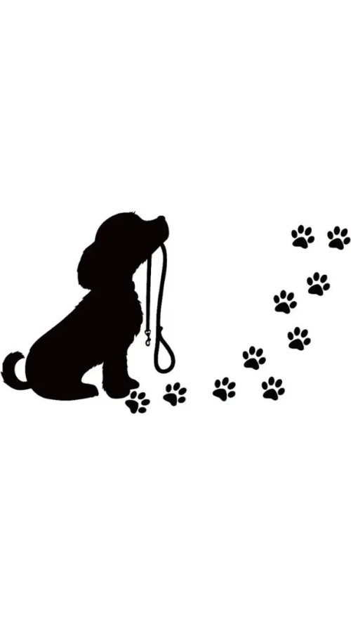Dressage chien