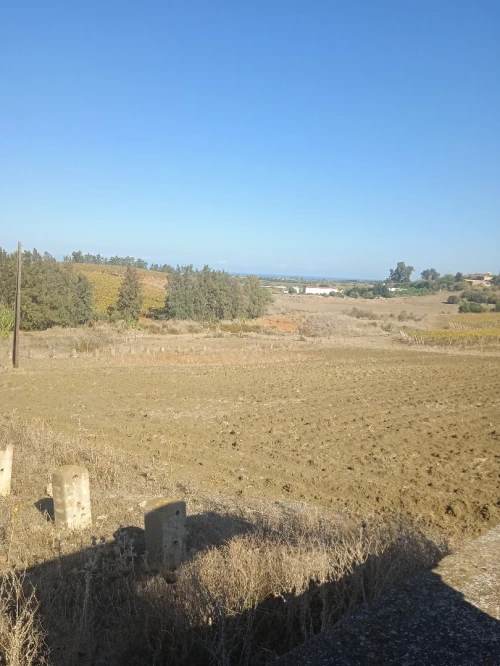 Vente Terrain Boumerdès Zemmouri