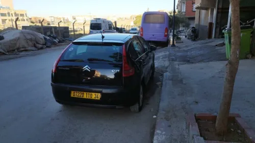 Citroen C4 2010 Vitamine