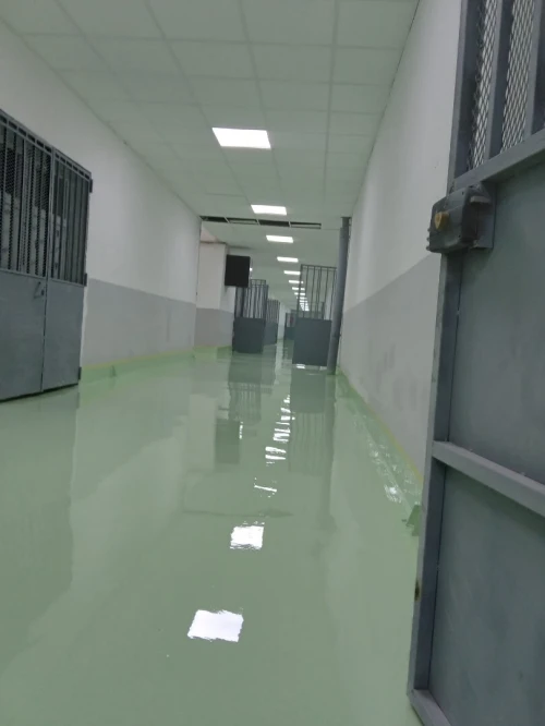 Resine epoxy sol 