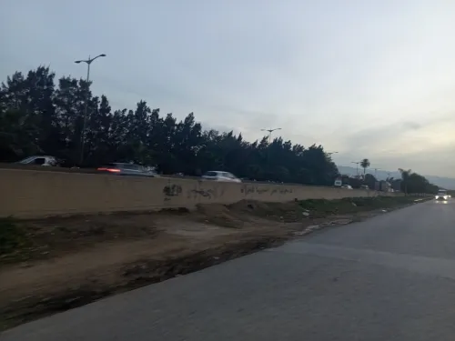 Vente Terrain Alger Tessala el merdja