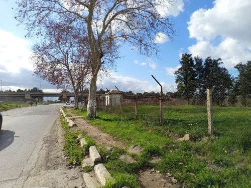Vente Terrain Alger Tessala el merdja