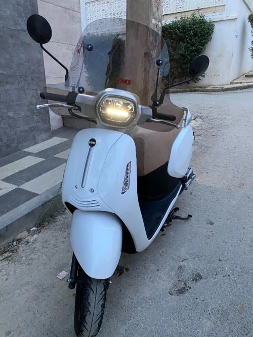 Panarea beneli 2025 2025
