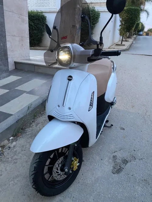 Panarea beneli 2025 2025