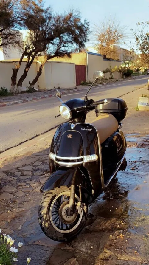 Lifan Sienna 150 2020