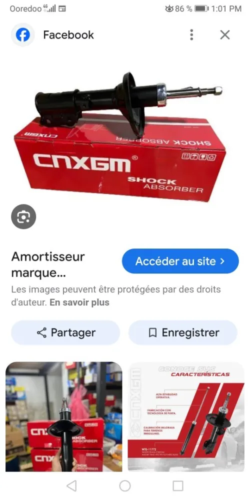 Amortisseur stepway