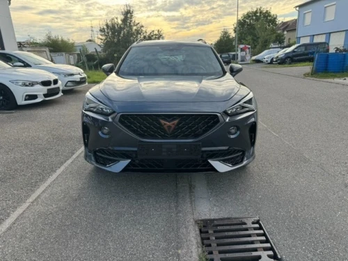 Cupra  Formenteur 2022 Tsi