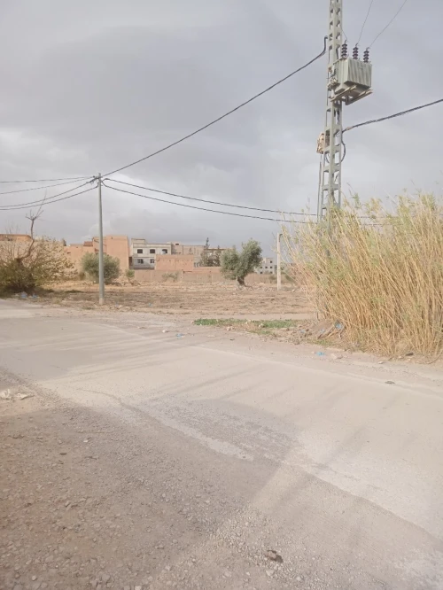 Vente Terrain Tlemcen Tlemcen