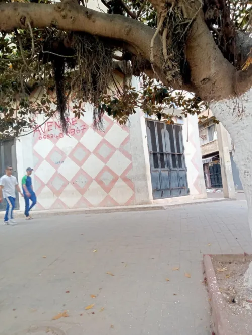 Vente Local Oran Oran