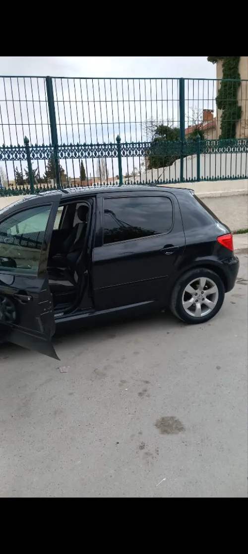 Peugeot 307 2007 307