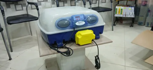 فقاسات بيض