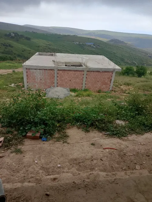 Vente Terrain Tlemcen Sebaa chioukh