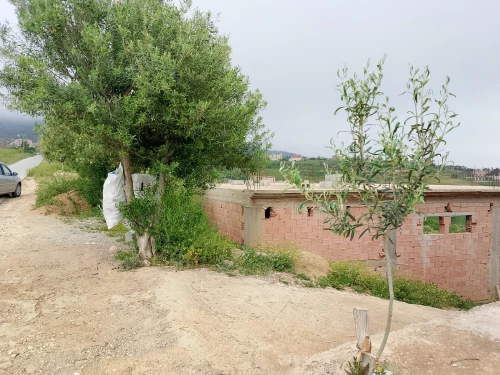 Vente Terrain Tlemcen Sebaa chioukh