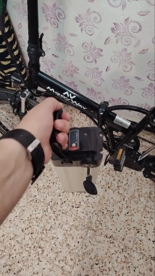 Vélo électrique France 