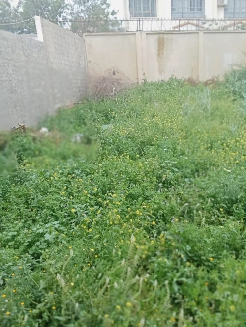 Vente Villa Aïn Témouchent Ain el arbaa
