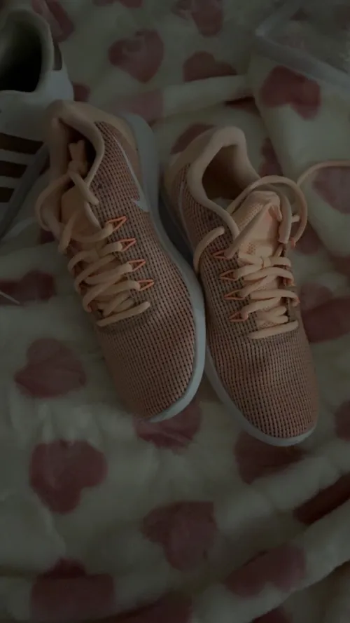BasQuettes femme Nike es Adidas