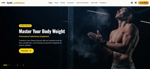 Service devloppment site web professionel sur mesure
