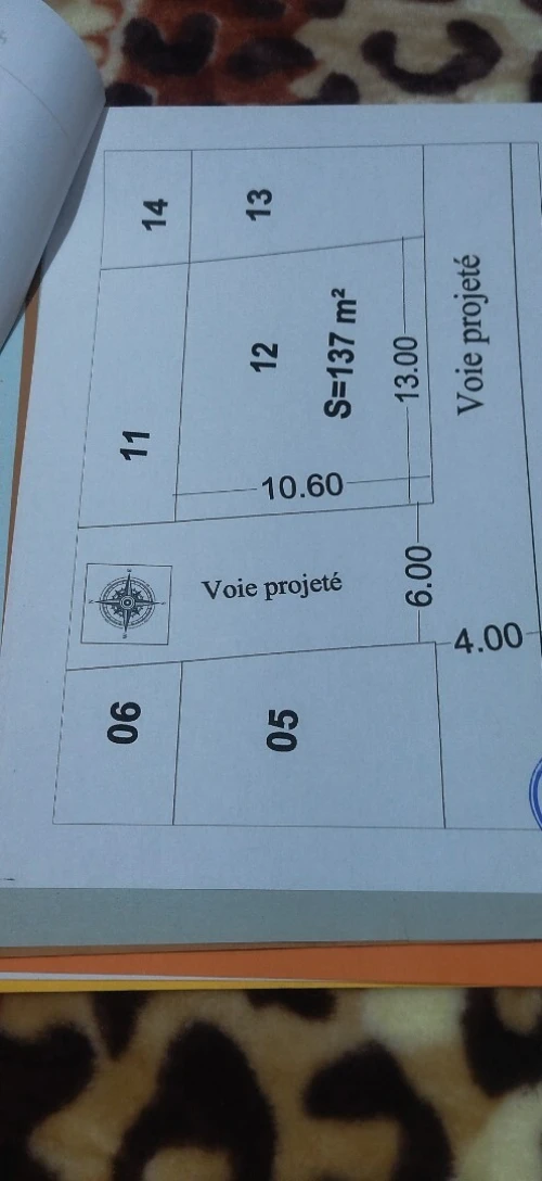 Vente Terrain Mostaganem Mesra