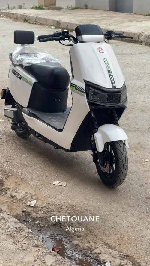 Dora H310 2025