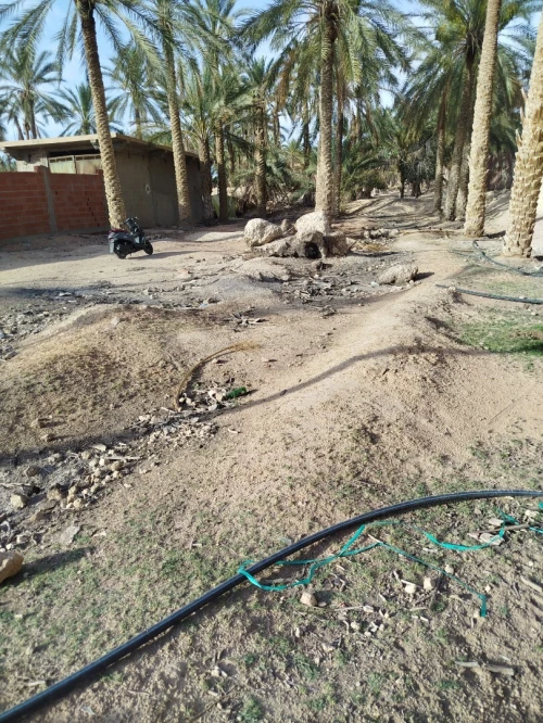 Vente Terrain Biskra Tolga