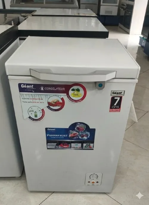 Congélateur Marque Géant 168L