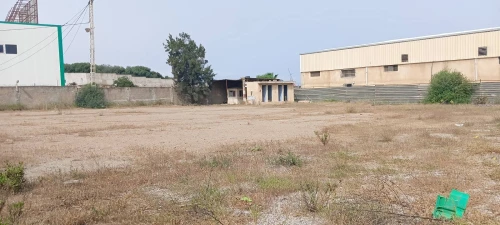 Location Terrain Alger Bordj el kiffan