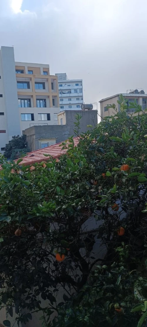 Vente Villa Alger Kouba