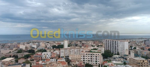 Vente Terrain Alger Kouba