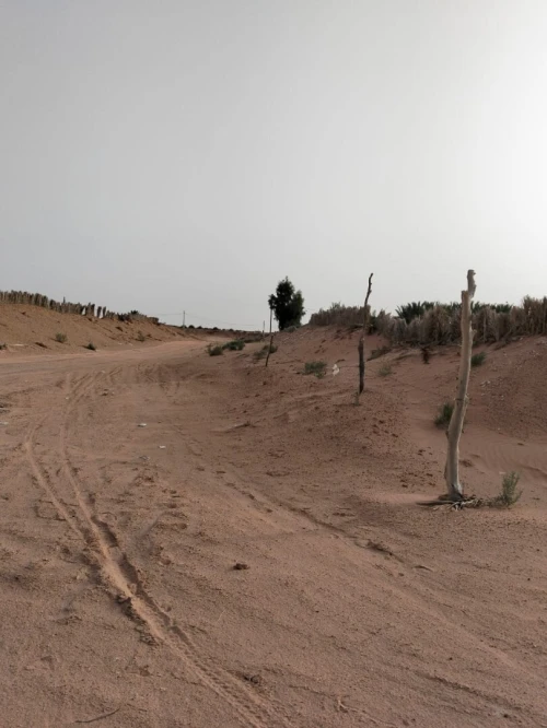 Vente Terrain Agricole Ouargla Ngoussa