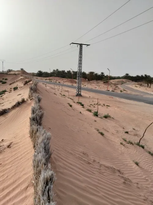 Vente Terrain Agricole Ouargla Ngoussa