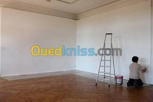 peintre pro